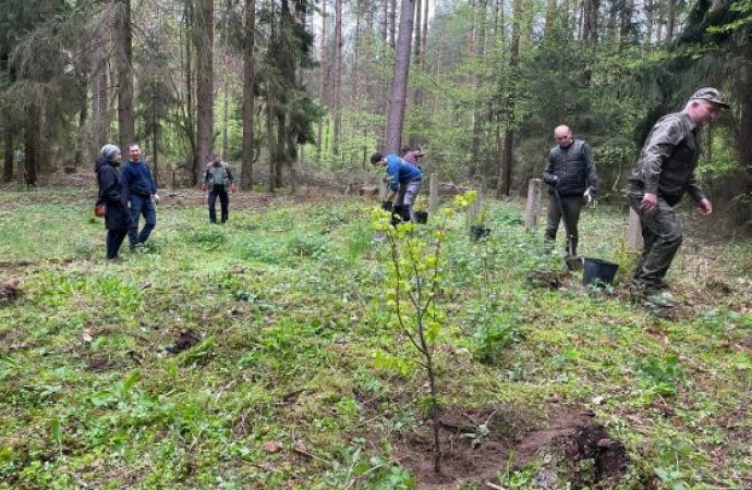 {Leśnicy i miłośnicy Olsztynka odkryli kamienne obramowania zbiorowych mogił z czasów I Wojny Światowej.}